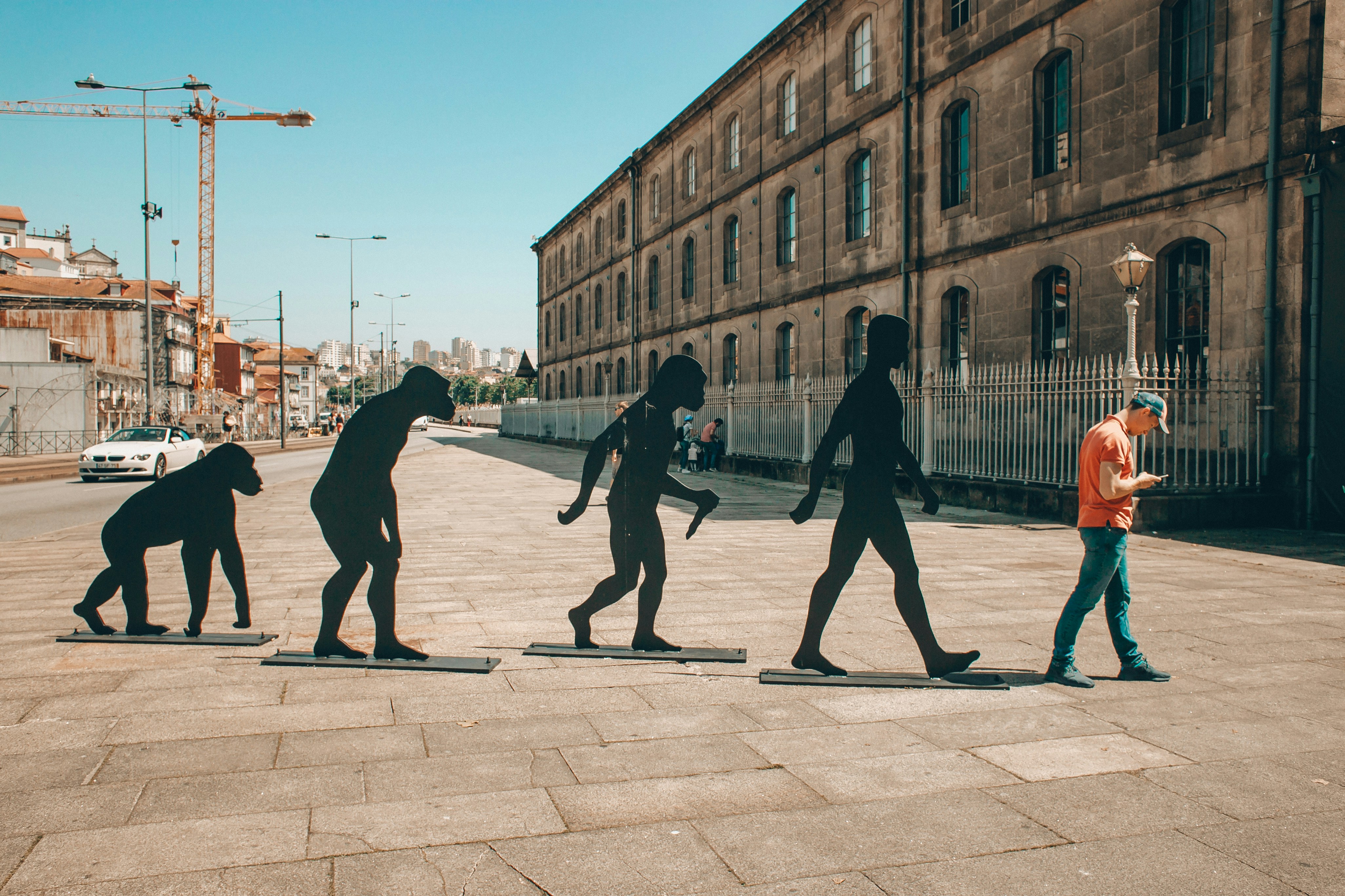 Monkeys evolving into human on a street.